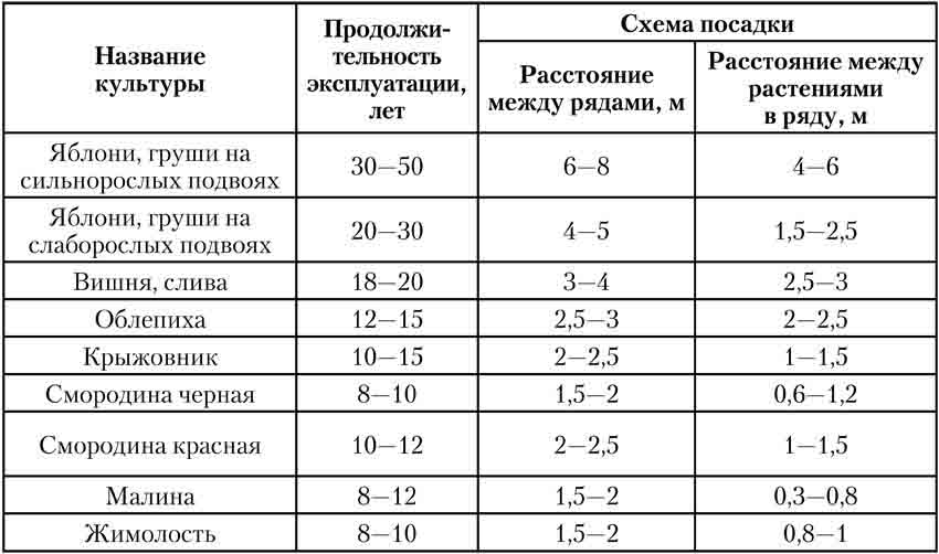 сроки посадки